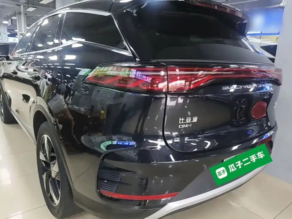 BYD Tang New Energy 2024 из CN, фото 9