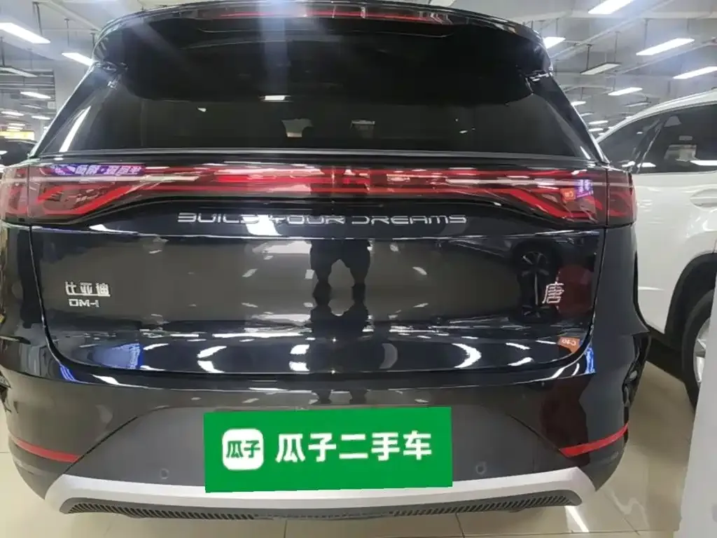 BYD Tang New Energy 2024 из CN, фото 5
