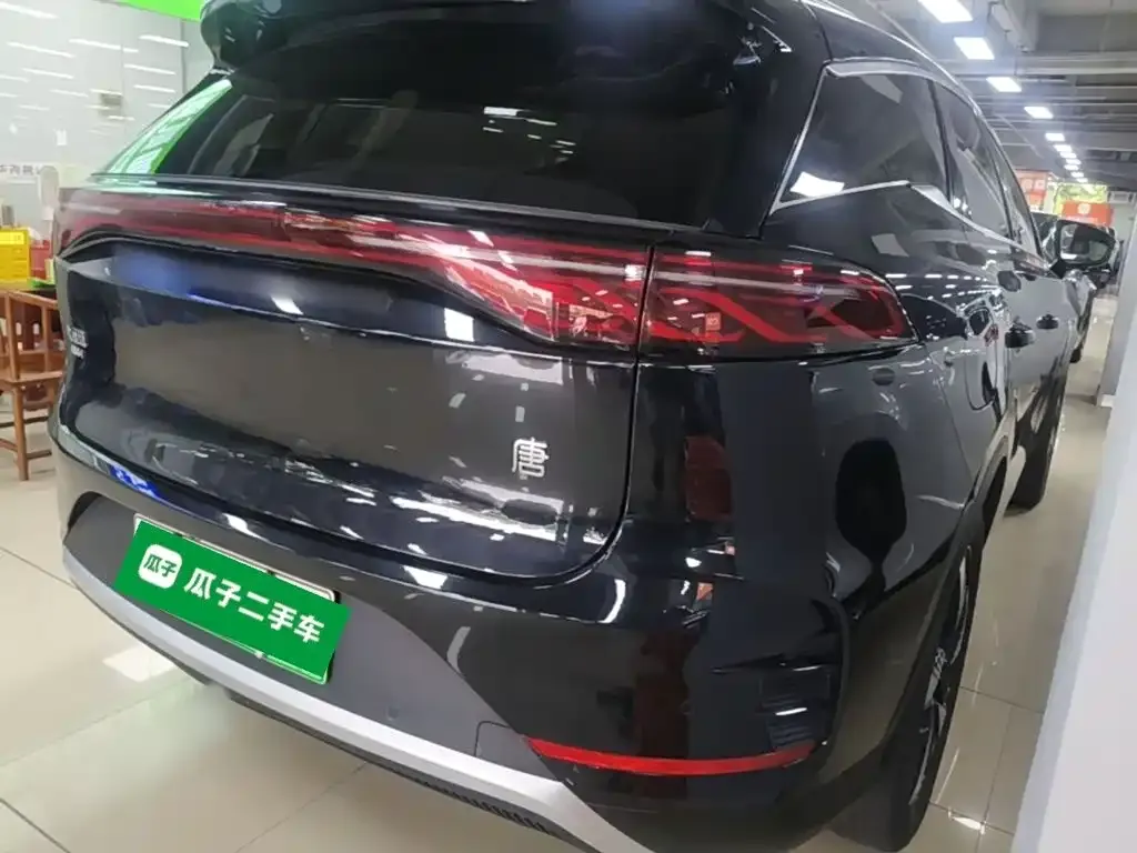 BYD Tang New Energy 2024 из CN, фото 4