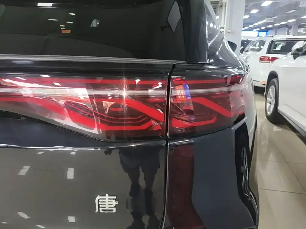 BYD Tang New Energy 2024 из CN, фото 2