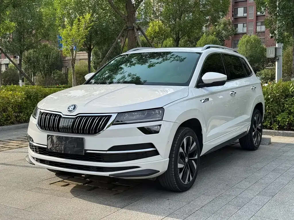 Skoda Karoq — фото 9
