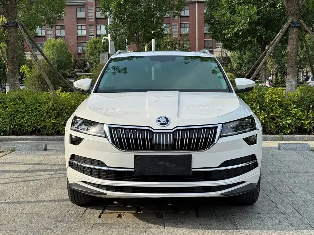Skoda Karoq — фото 8