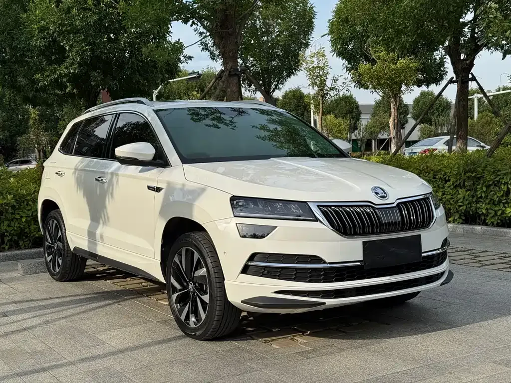 Skoda Karoq — фото 4
