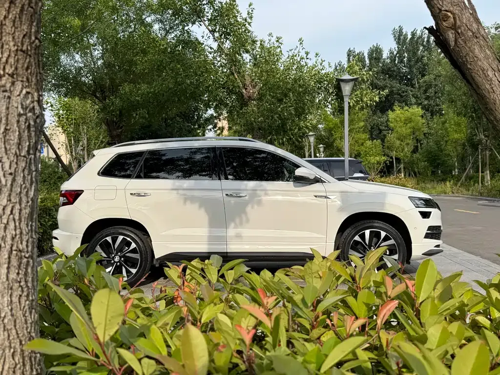 Skoda Karoq — фото 7