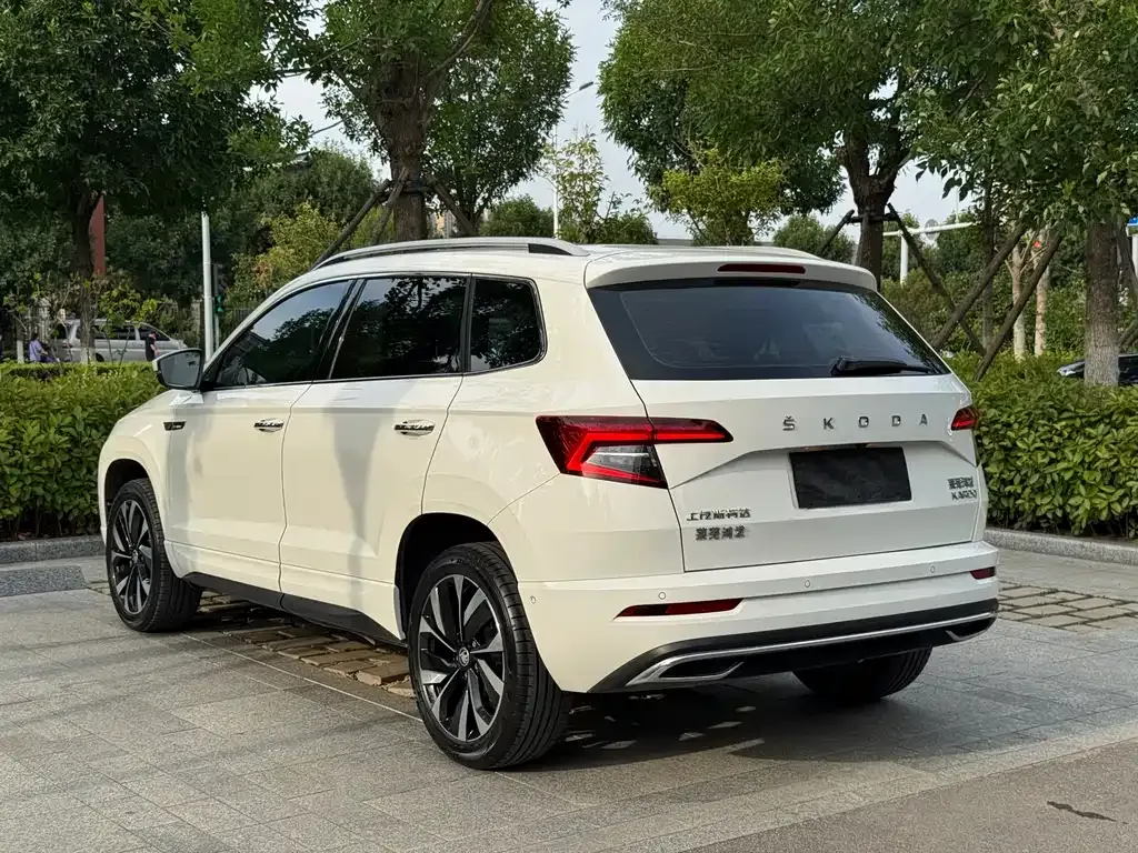 Skoda Karoq — фото 10