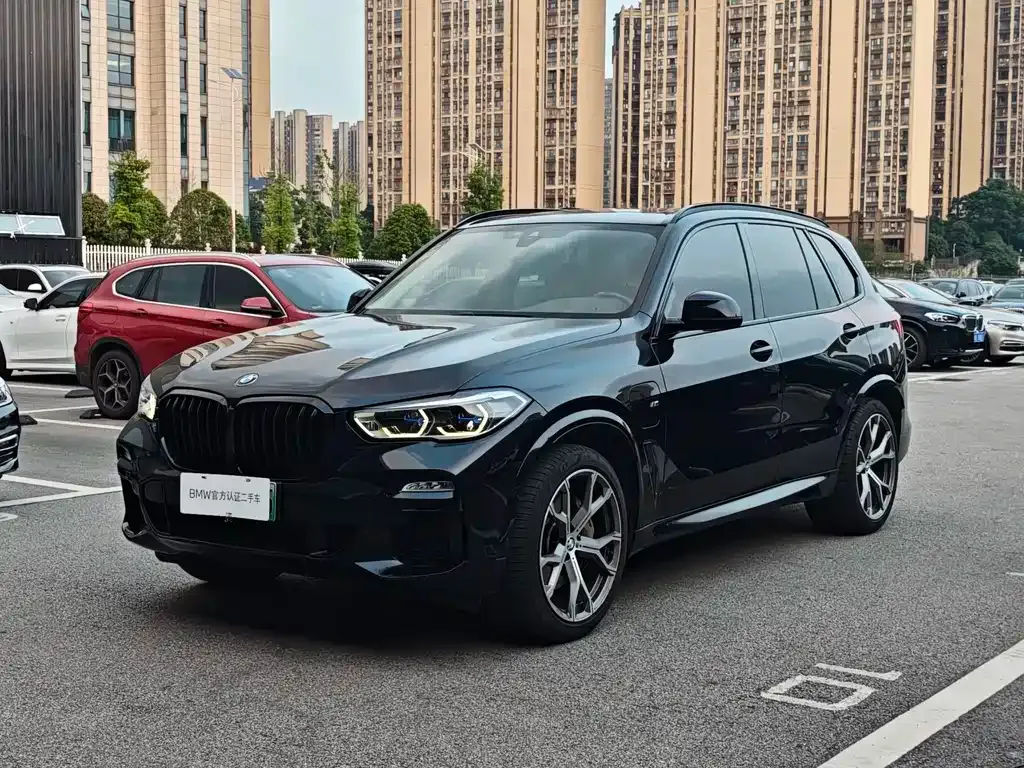 BMW X5 New Energy (Import) — фото 1