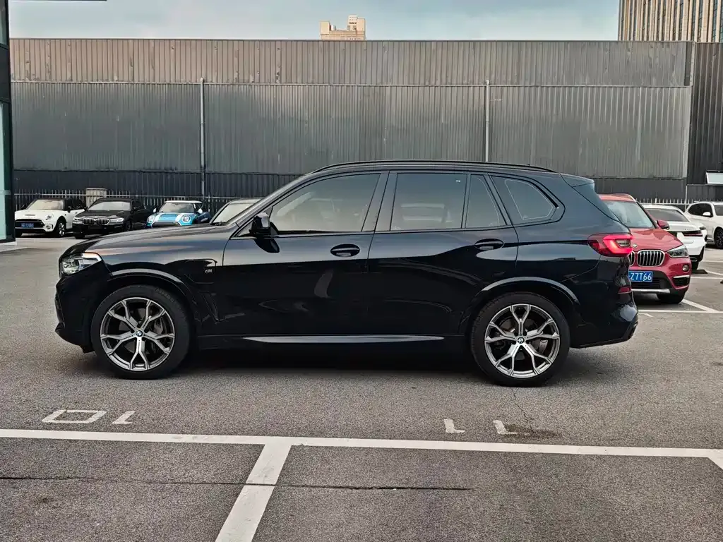 BMW X5 New Energy (Import) — фото 8