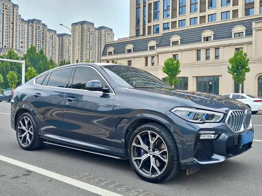 BMW X6 — фото 10