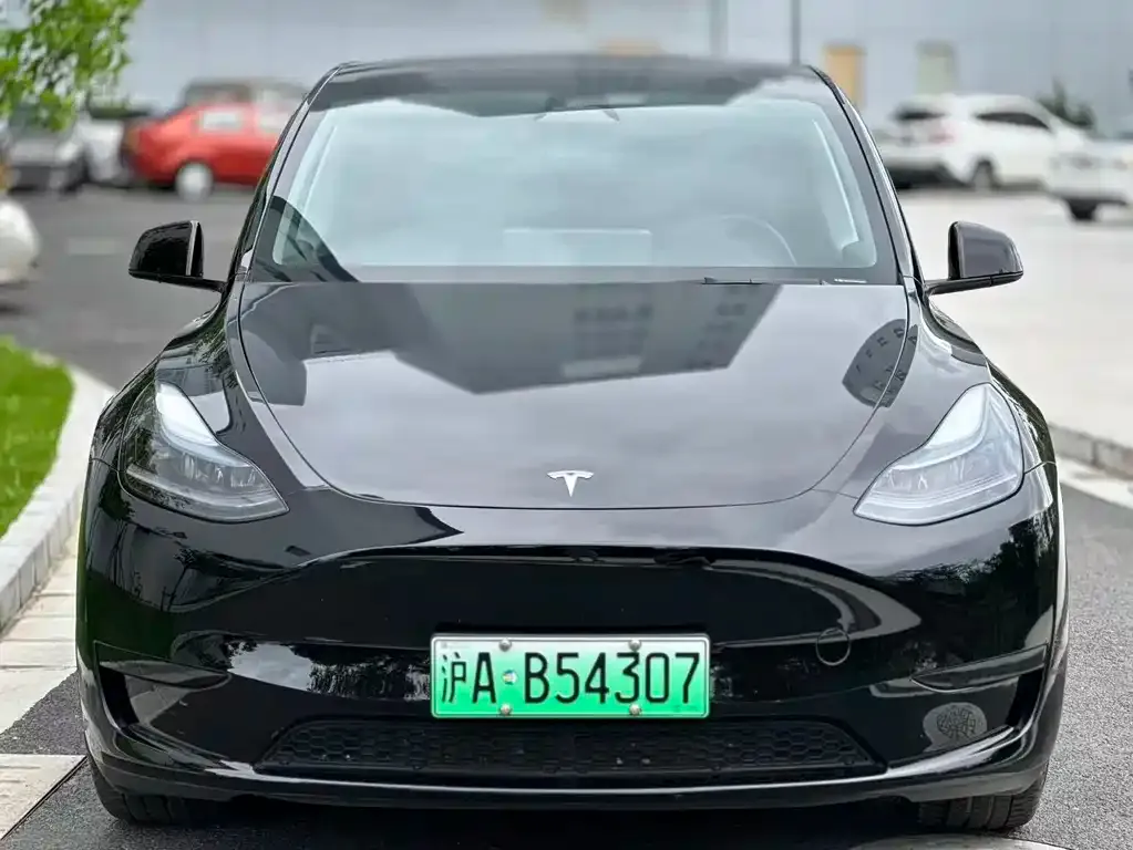 Tesla Model Y — фото 5