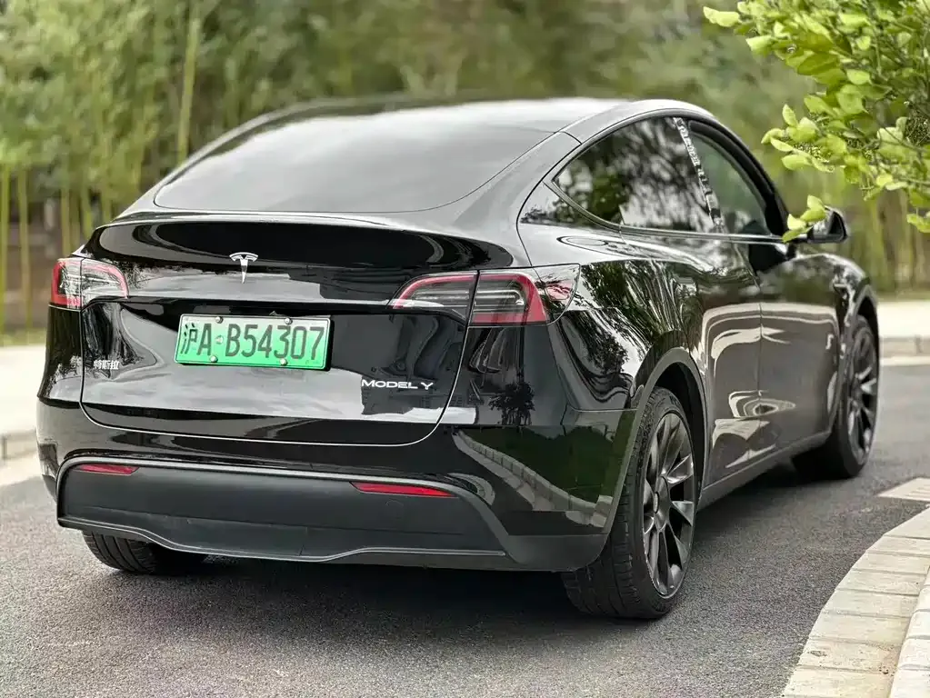 Tesla Model Y — фото 7