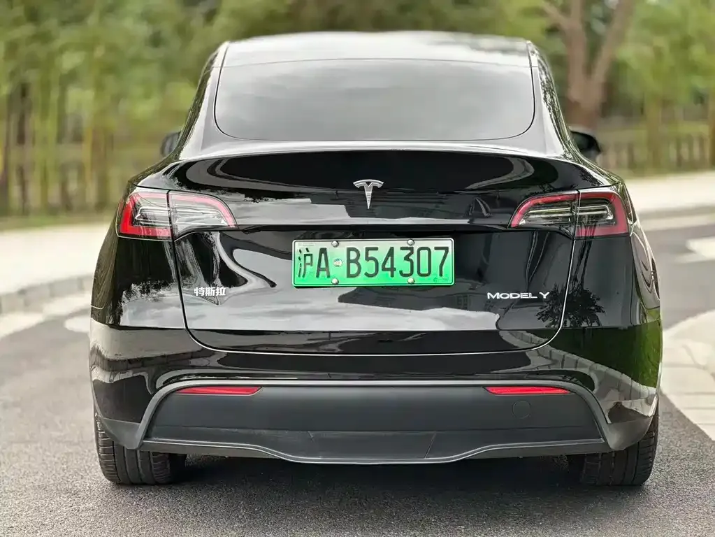 Tesla Model Y — фото 4