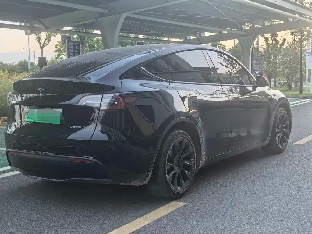 Tesla Model Y — фото 3