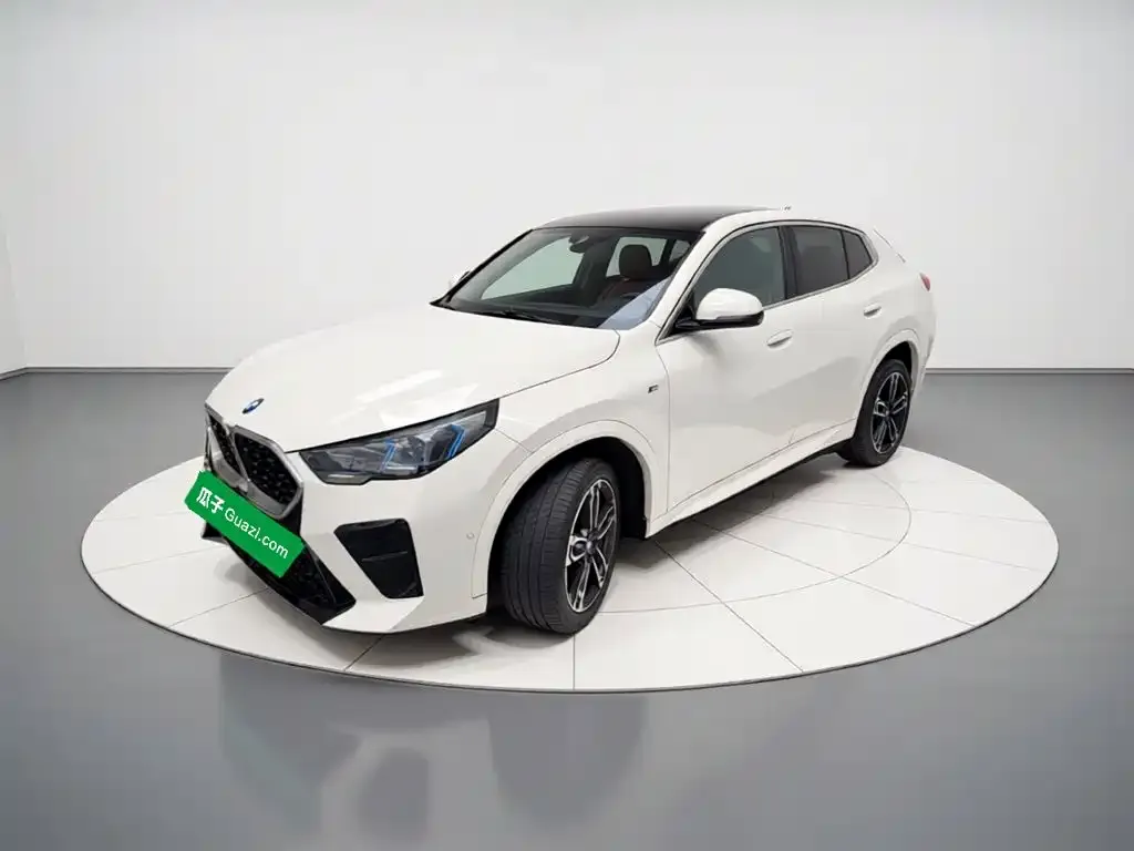 BMW X2 (Import) — фото 1