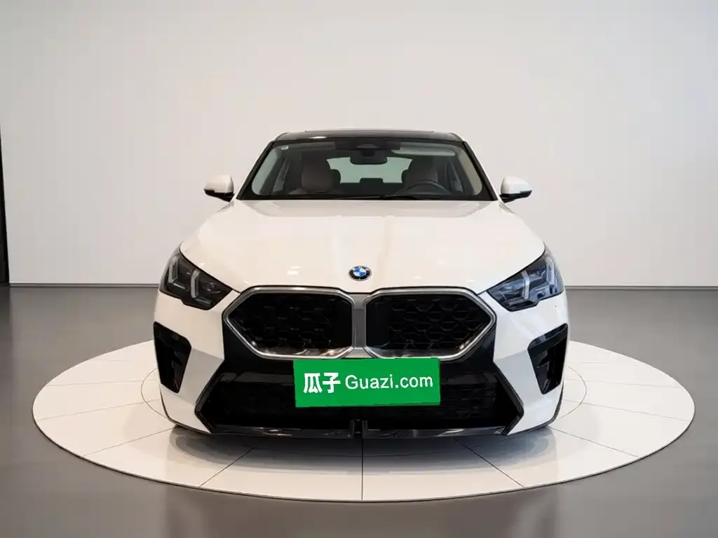 BMW X2 (Import) — фото 9