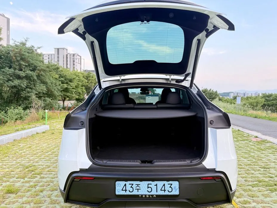 Tesla Model Y — фото 10