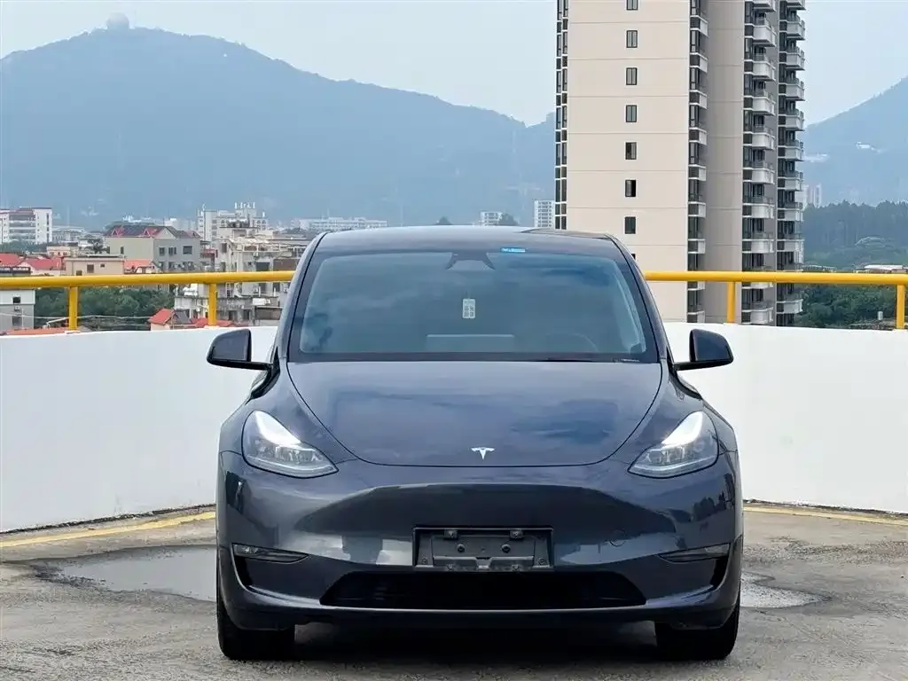 Tesla Model Y — фото 10