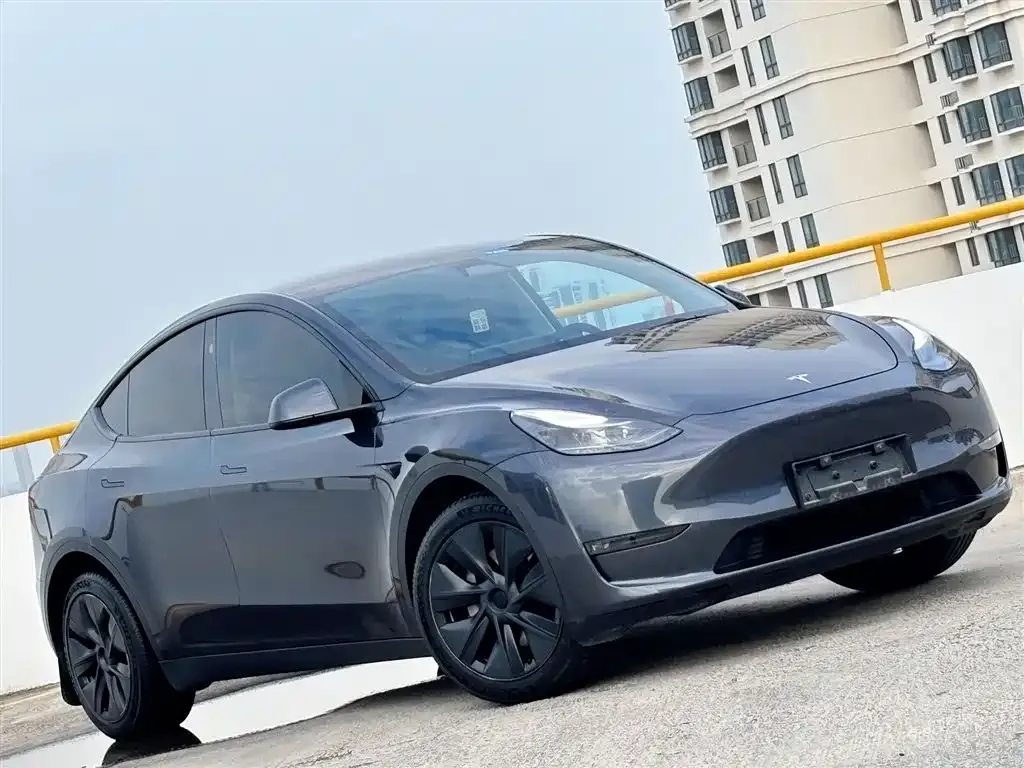Tesla Model Y — фото 8