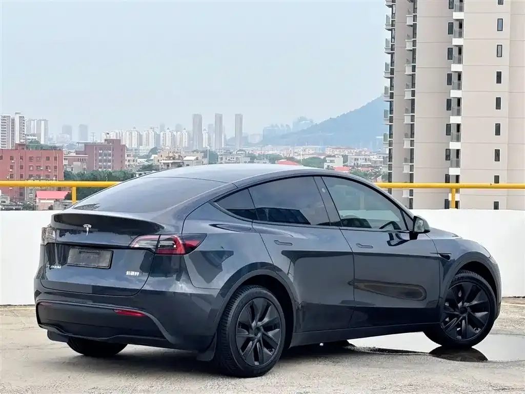 Tesla Model Y — фото 4