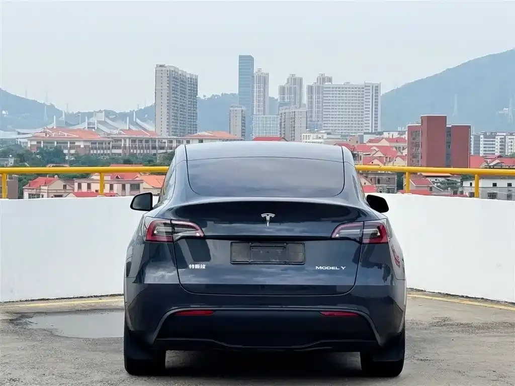 Tesla Model Y — фото 2