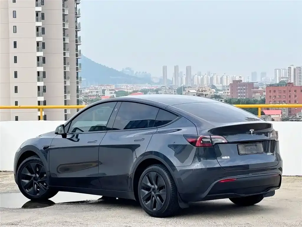 Tesla Model Y — фото 3