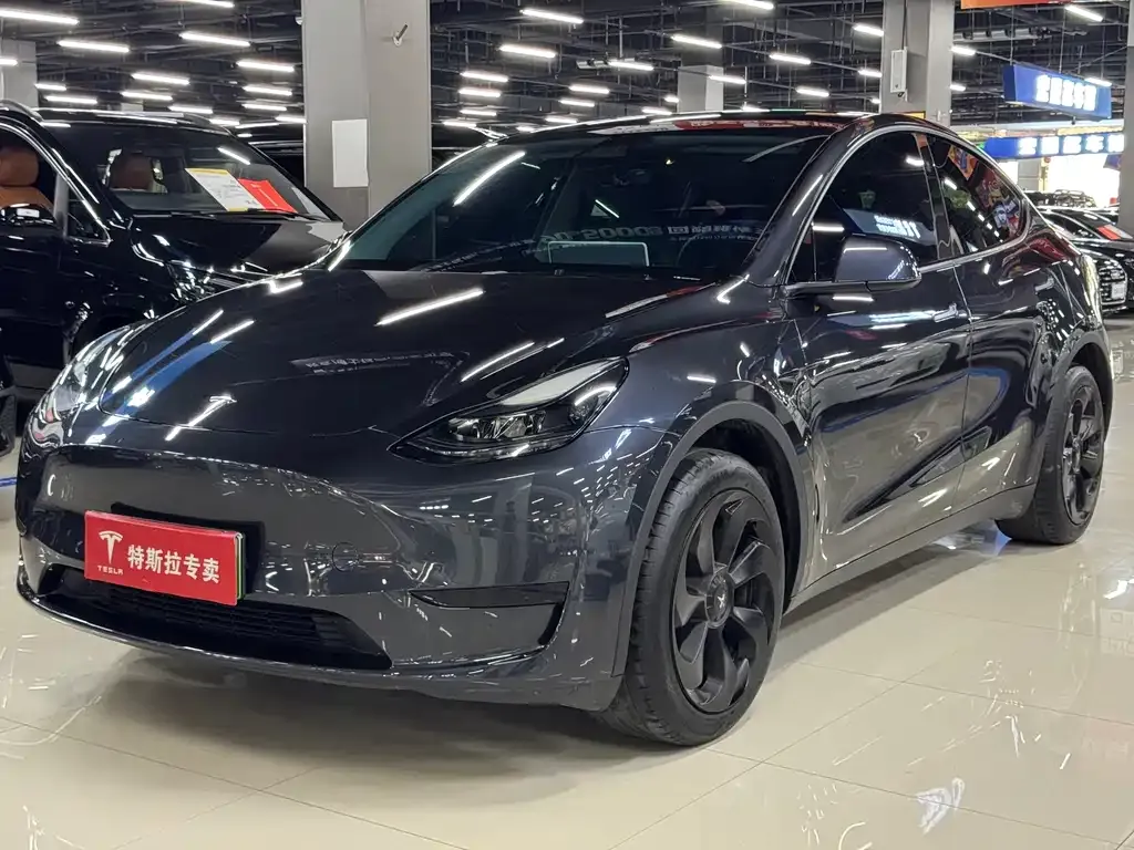 Tesla Model Y — фото 1