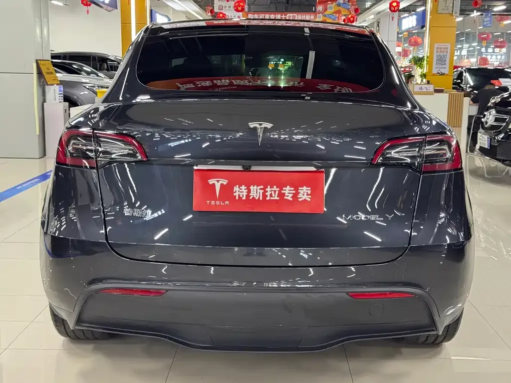 Tesla Model Y — фото 9