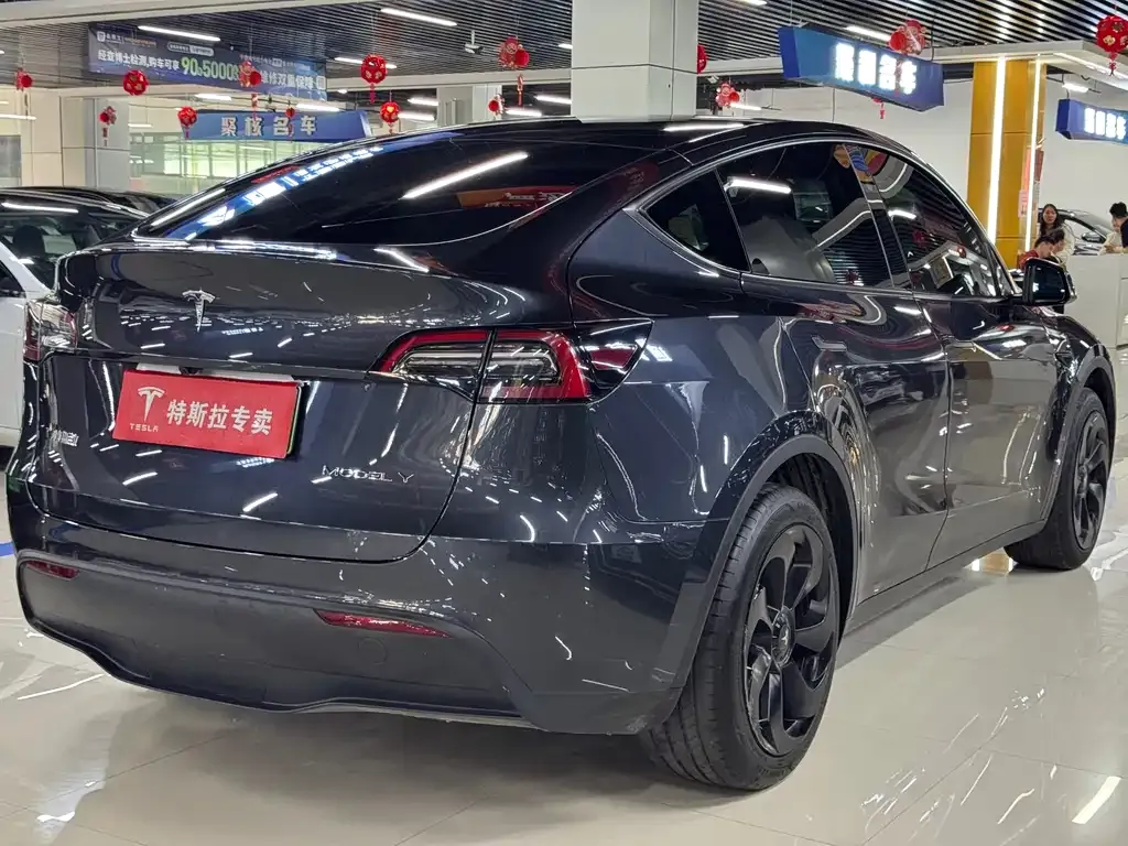 Tesla Model Y — фото 6