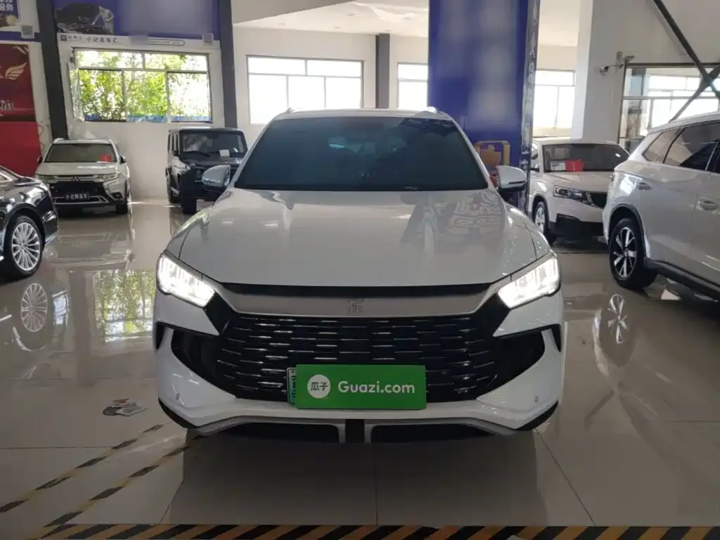 BYD Pro New Energy — фото 8