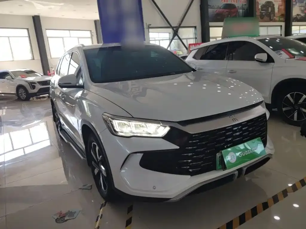BYD Pro New Energy — фото 6