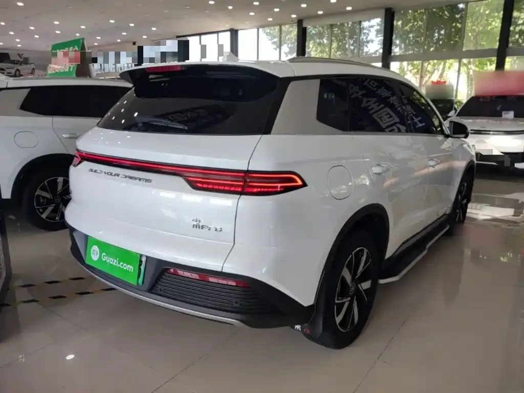 BYD Pro New Energy — фото 7