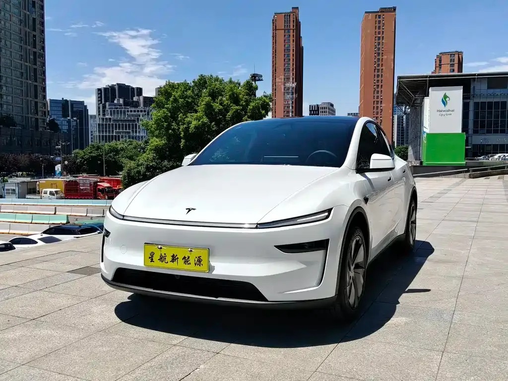 Tesla Model Y — фото 1