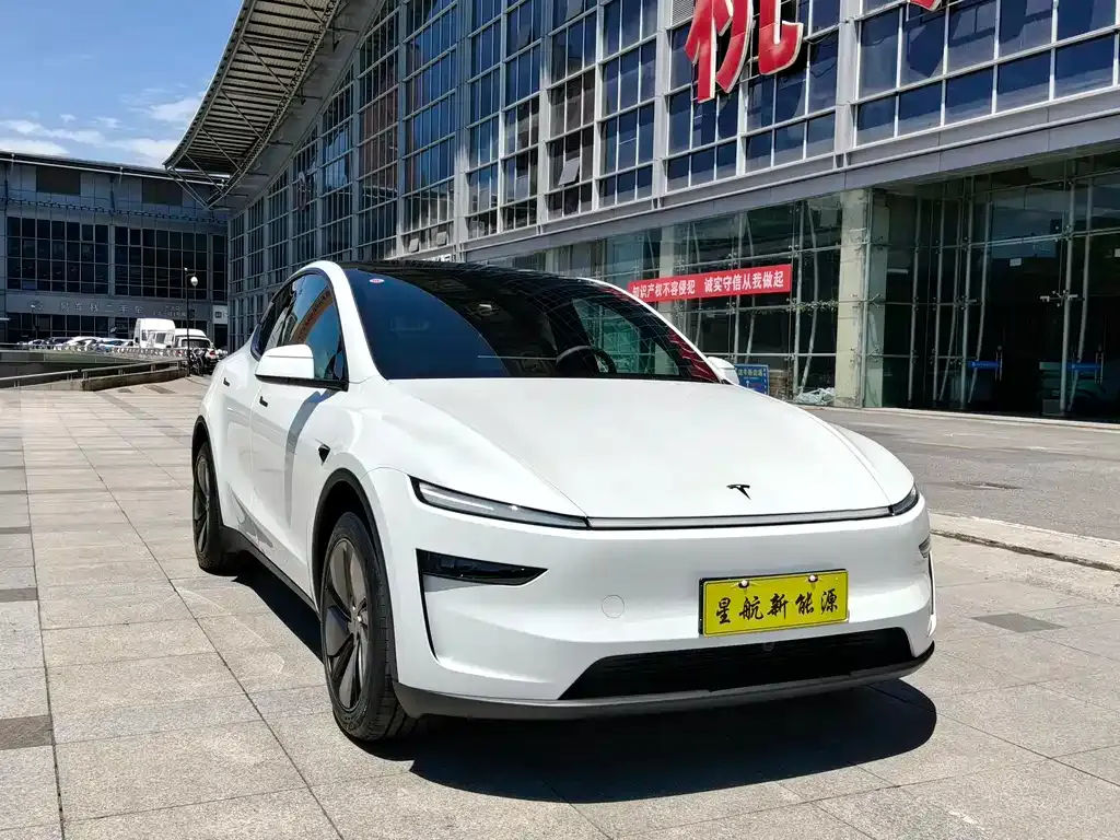 Tesla Model Y — фото 9