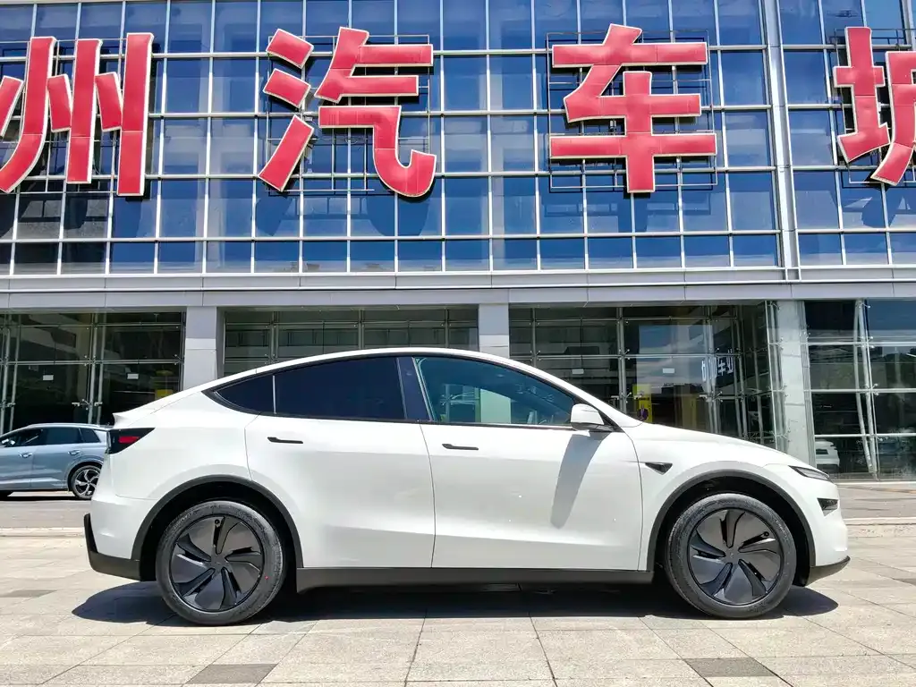 Tesla Model Y — фото 10
