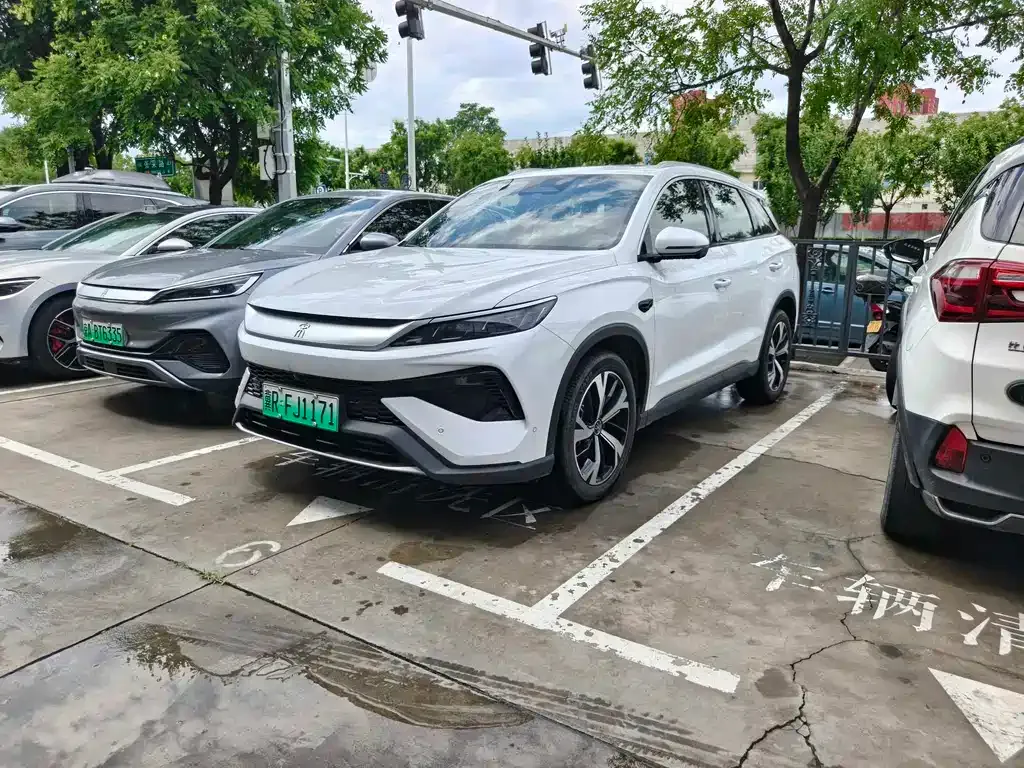 BYD Pro New Energy — фото 1