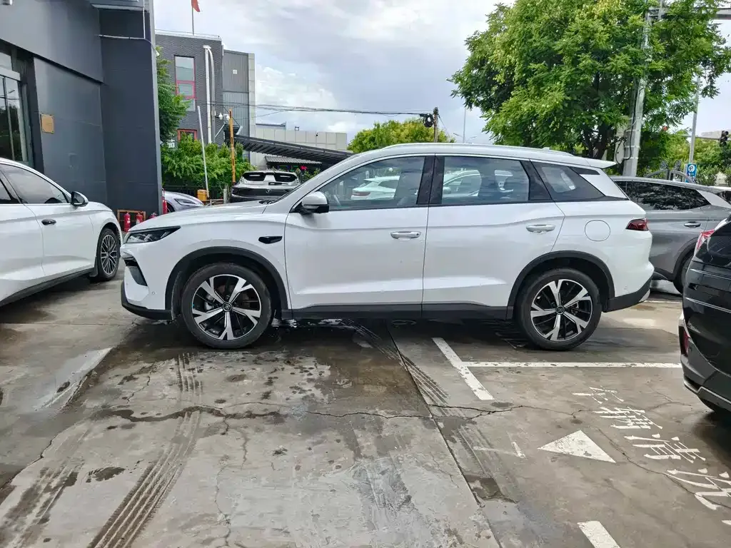 BYD Pro New Energy — фото 8