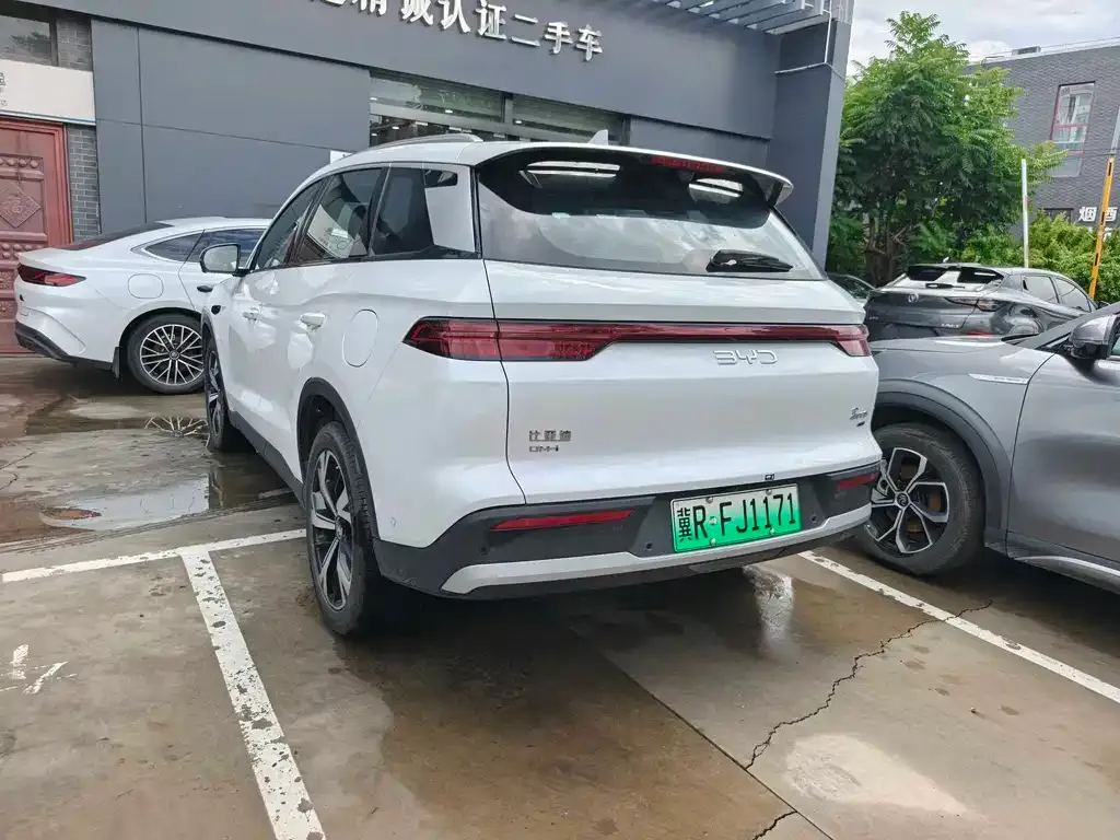 BYD Pro New Energy — фото 6