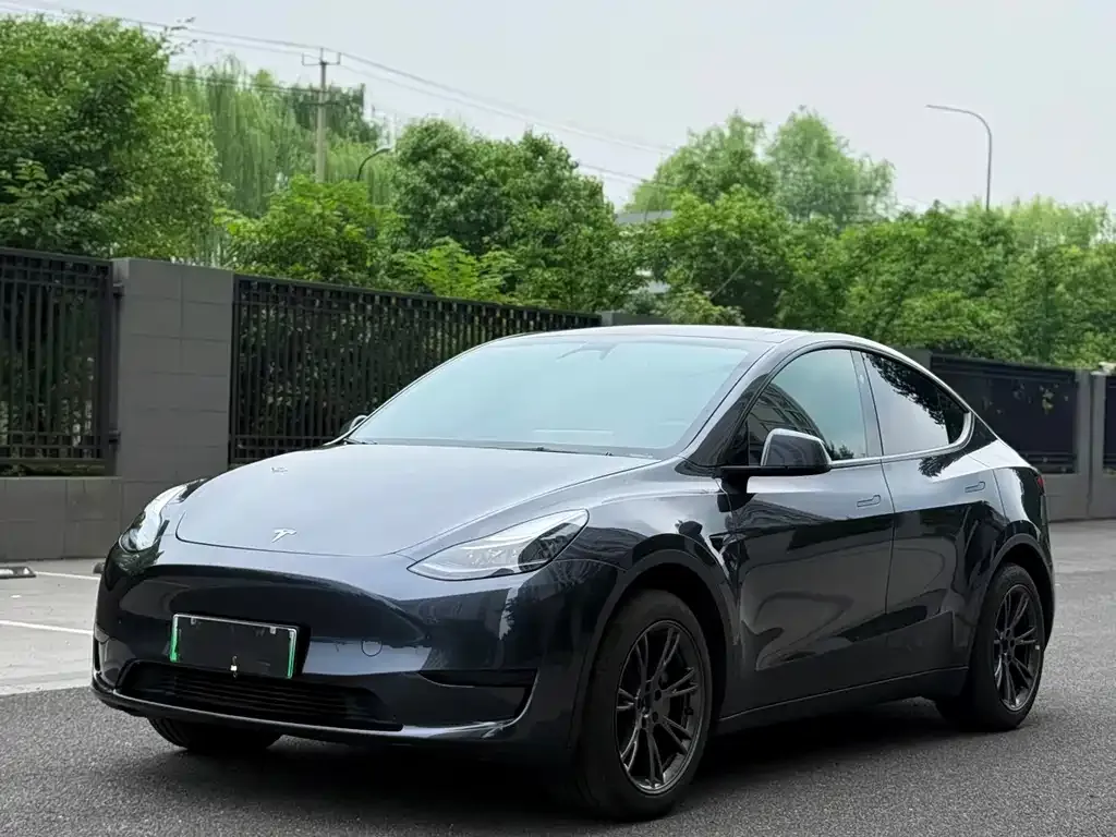 Tesla Model Y — фото 1