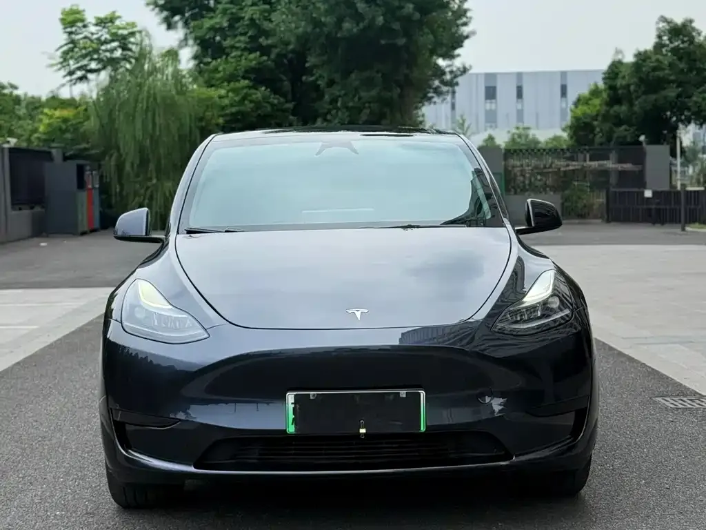 Tesla Model Y — фото 3
