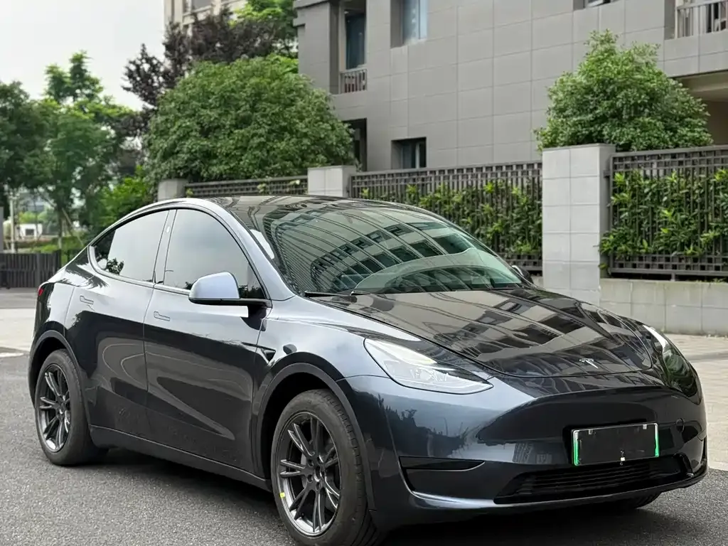 Tesla Model Y — фото 6