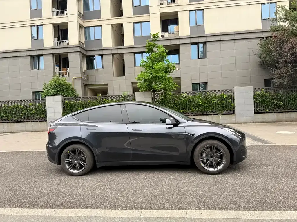 Tesla Model Y — фото 10