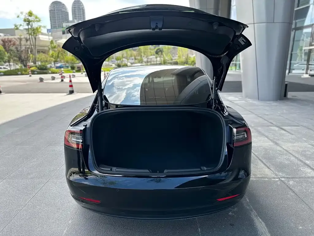 Tesla Model 3 — фото 3