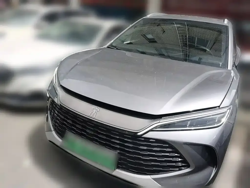 BYD Pro New Energy — фото 4