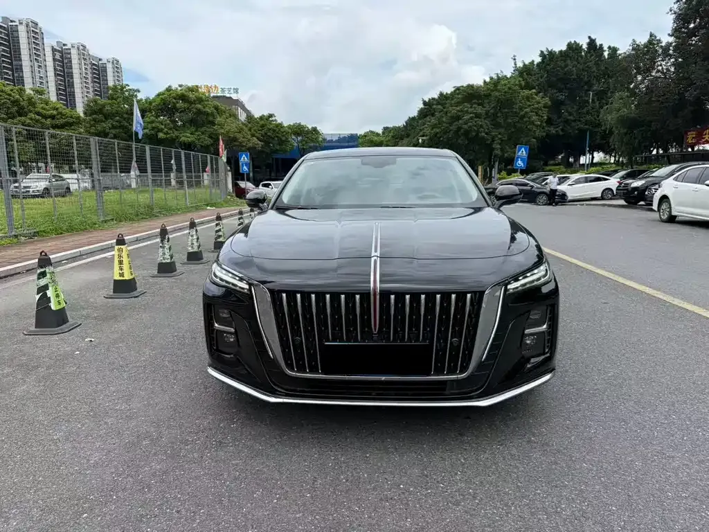 Hongqi H5 2024 из CN, фото 5