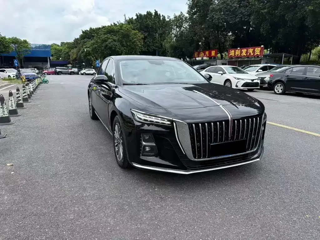 Hongqi H5 2024 из CN, фото 7