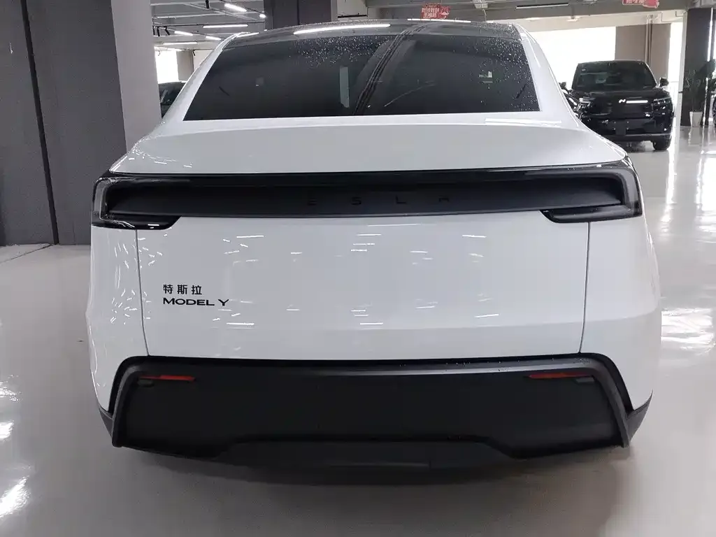 Tesla Model Y — фото 5