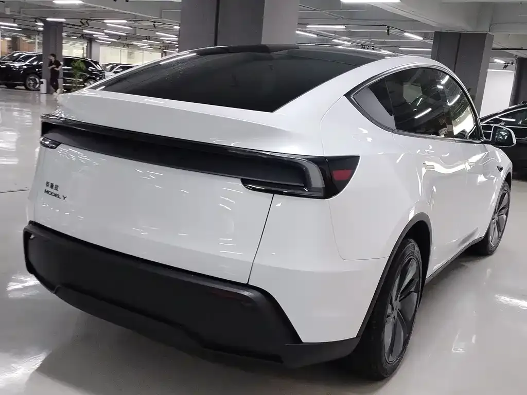 Tesla Model Y — фото 8