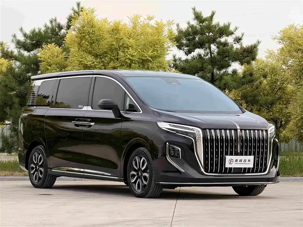 Hongqi HQ9 — фото 10