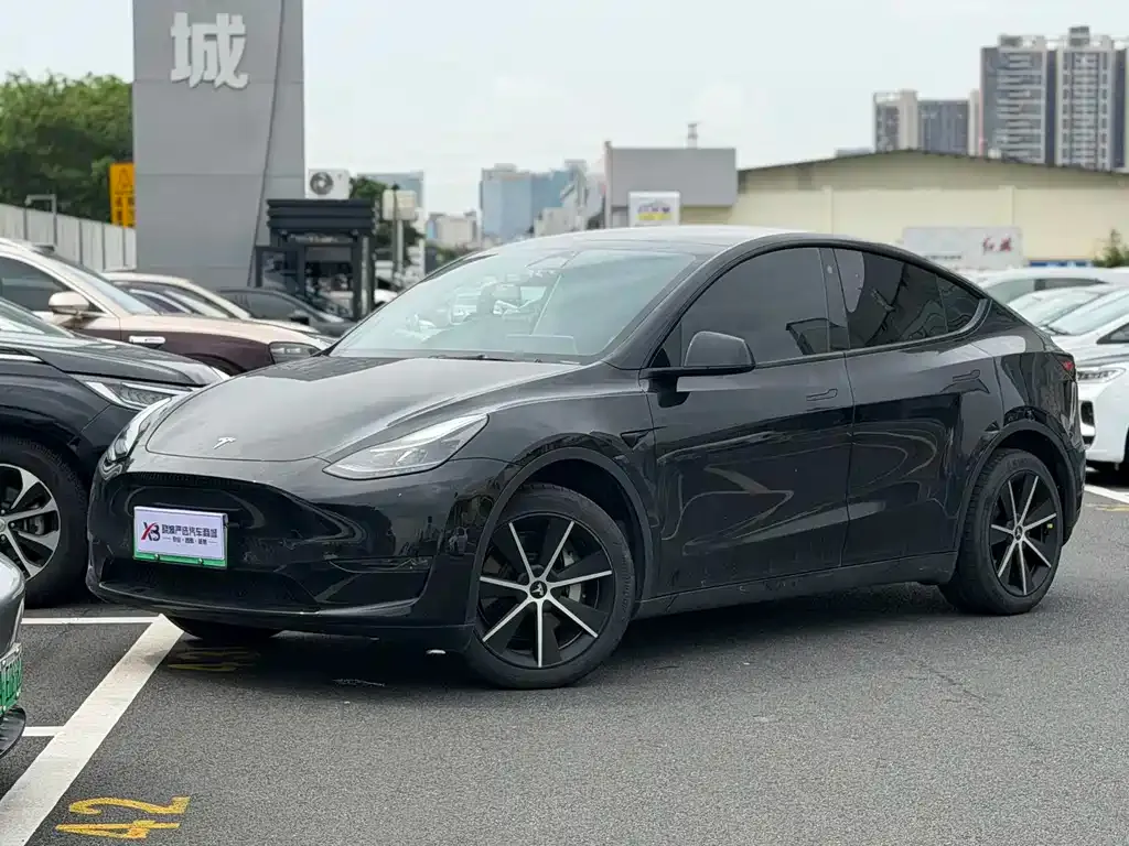 Tesla Model Y — фото 1