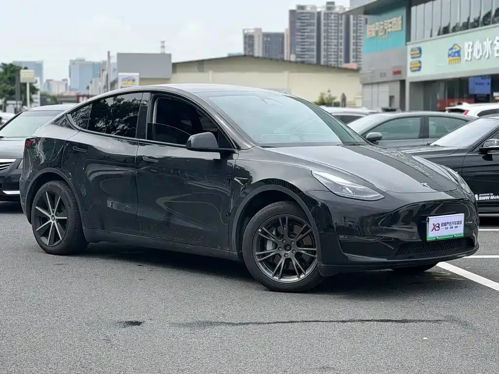 Tesla Model Y — фото 8
