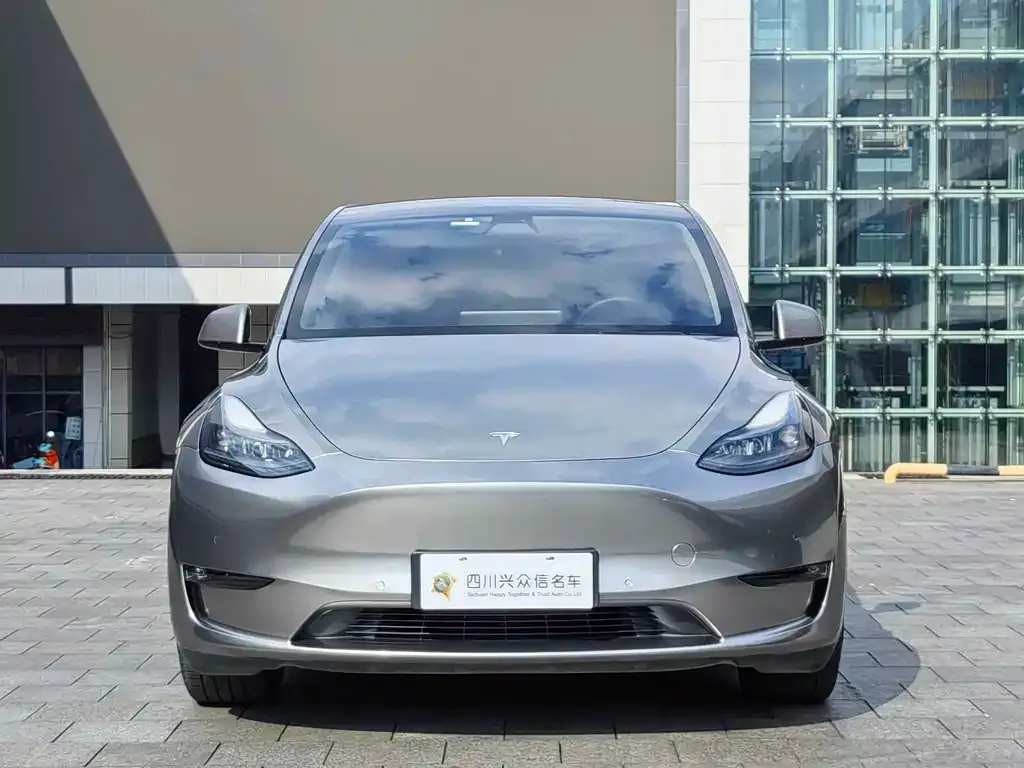 Tesla Model Y — фото 9